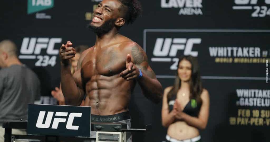 UFC 241: DraftKings Picks (Free DFS Picks)