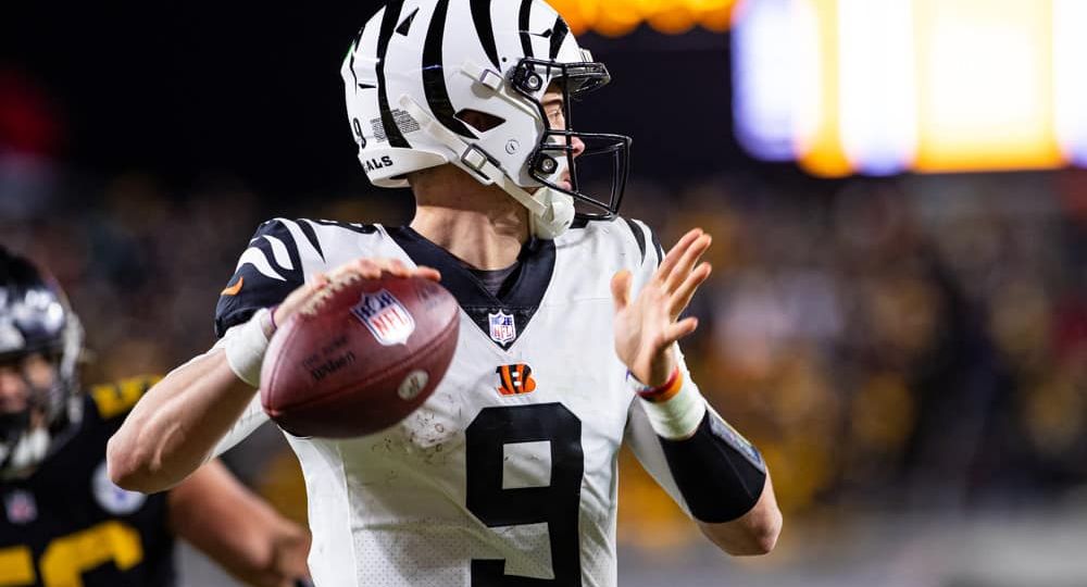 NFL: NOV 20 Bengals at Steelers