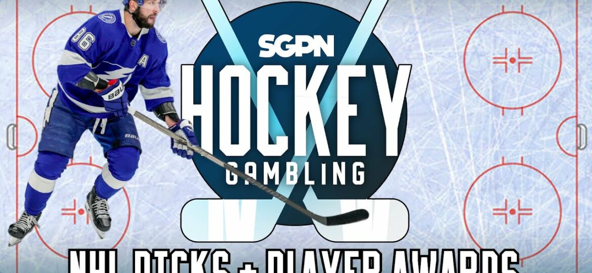 NHL Picks (Saturday 11/25) + NHL Awards Updates | Hockey Gambling Podcast (Ep. 276)