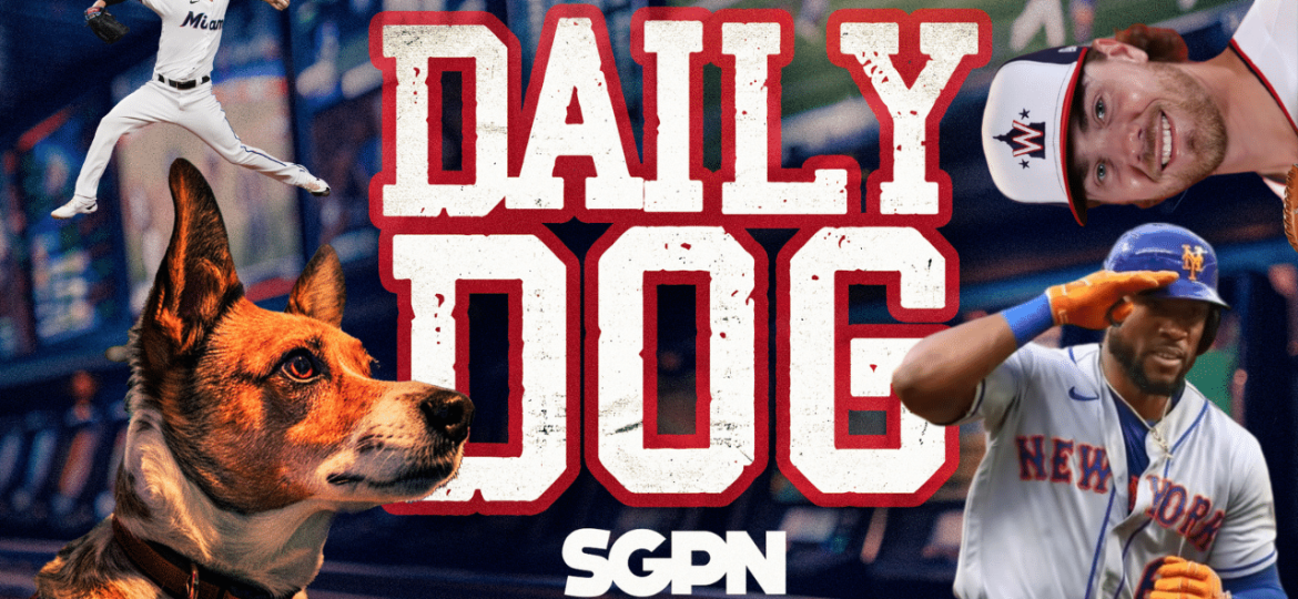 Underdog Picks for Wednesday (6/12): SMOKIN STARLING MARTE | The Daily Dog (Ep. 8)